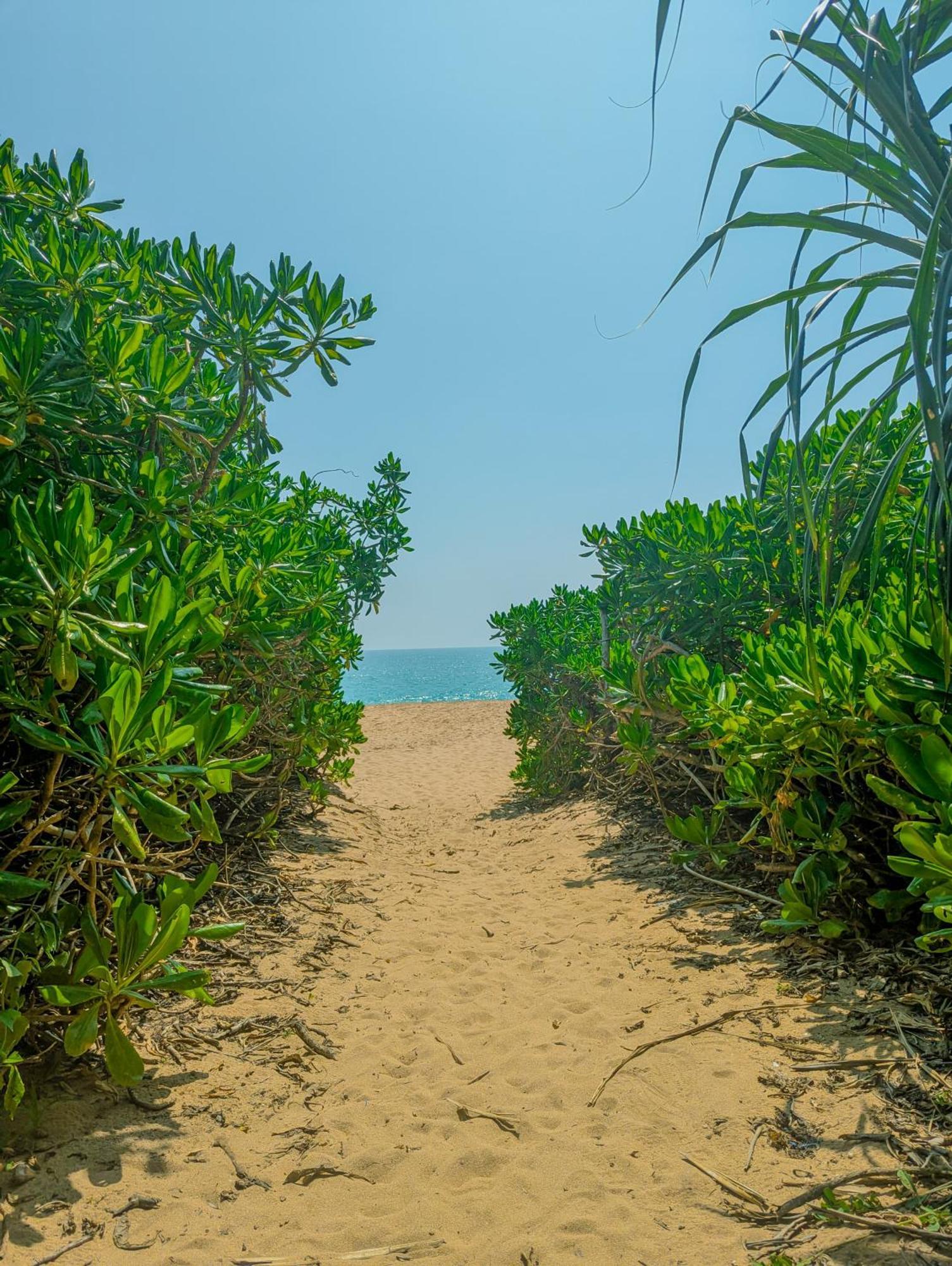 Southern Edge Cabanas Tangalle Bagian luar foto